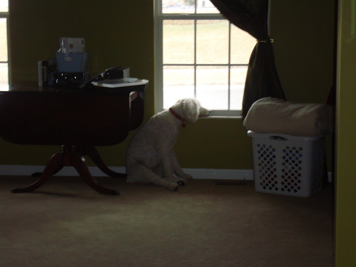 Finley no longer n0.1