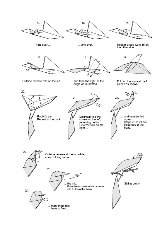 origami An Example Of Bird of Paradise Model