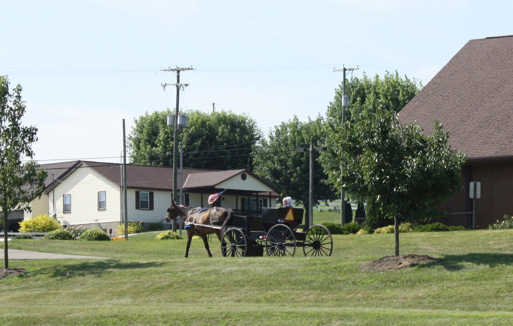 That's My Story.... Amish Buggies