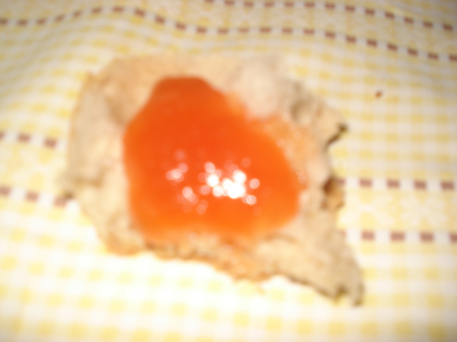 [DSC01651.JPG]