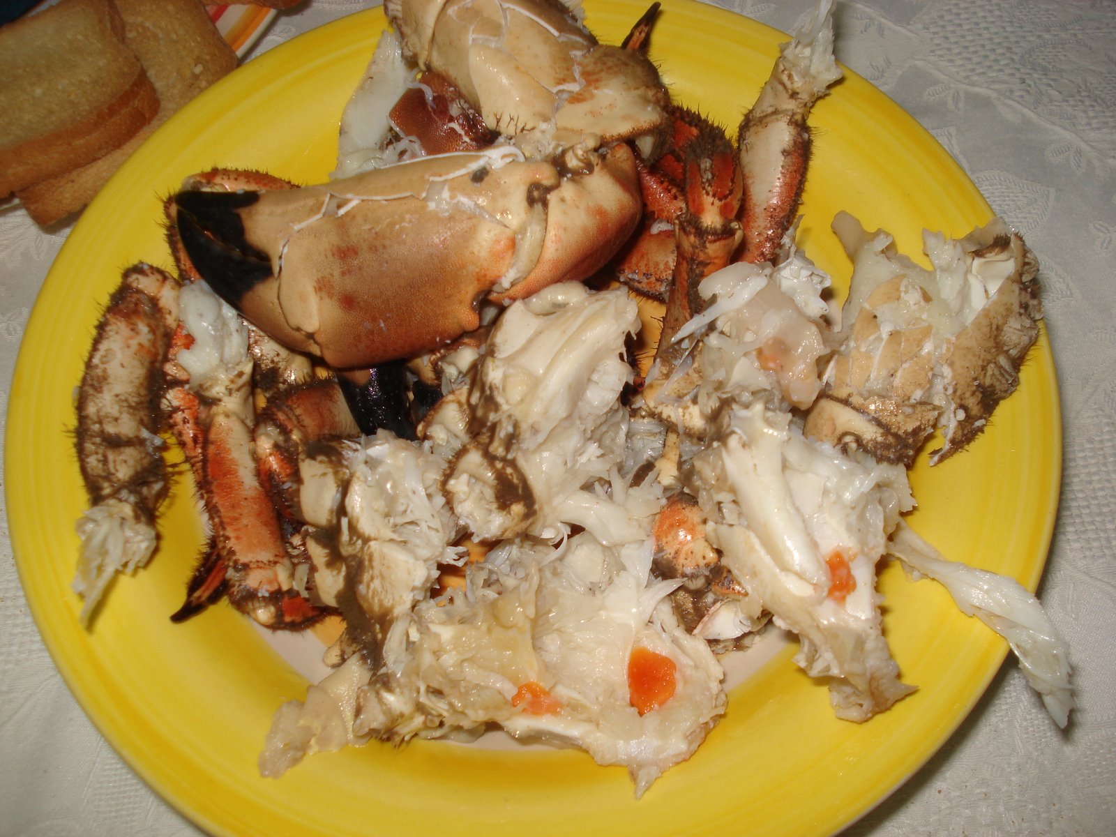 [DSC02023.JPG]