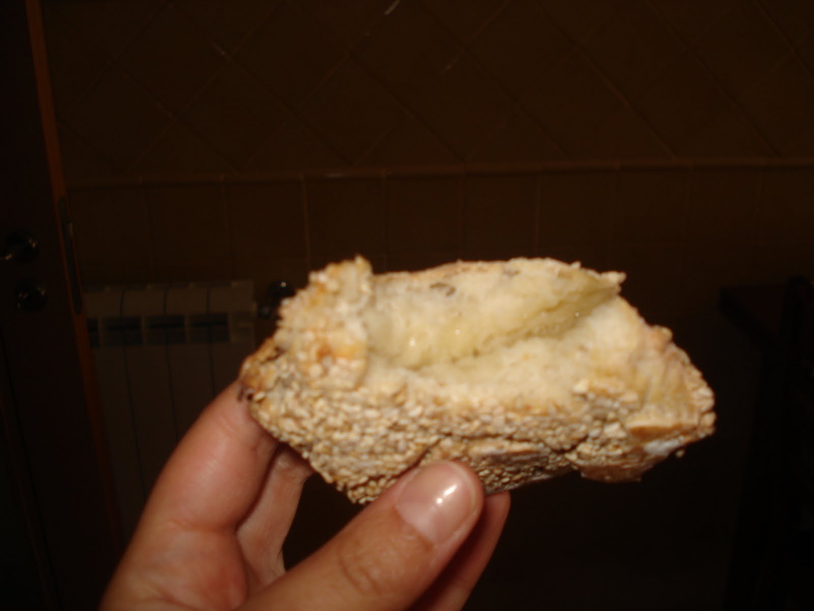 [DSC05331.JPG]