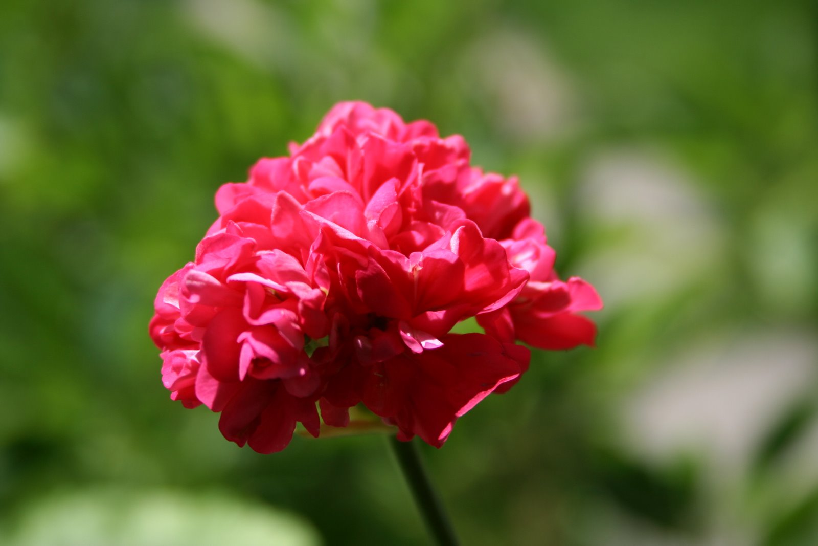[IMG_4546.JPG]