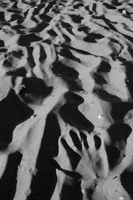 Dunes guillaume lelasseux 2009