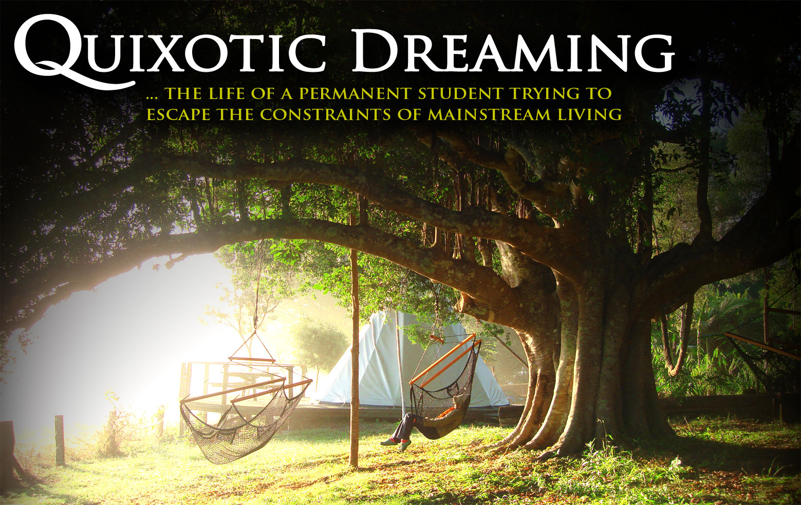 Quixotic Dreaming