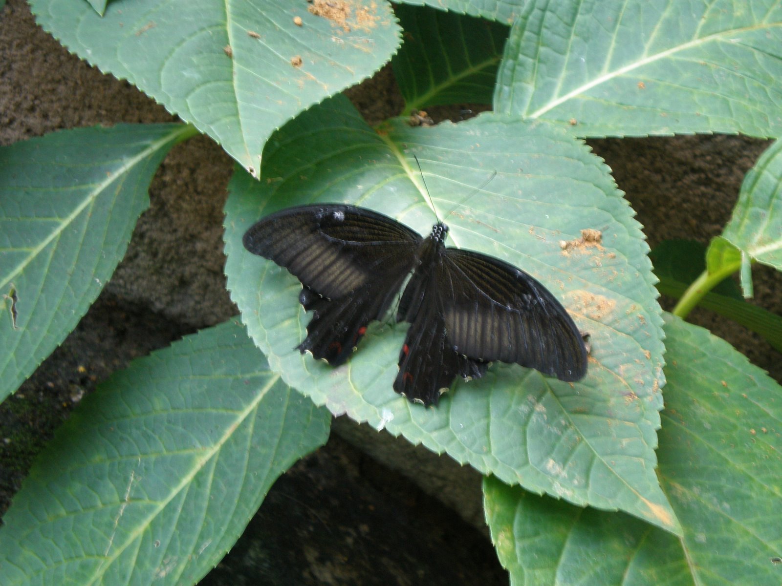 [PC040560.JPG]