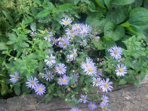 [232323232%7Ffp43252%3Enu%3D3249%3E682%3E635%3EWSNRCG%3D3233%3A6%3B8%3A%3A629nu0mrj.jpg]