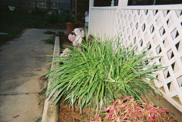 [n821739043_499405_103.jpg]