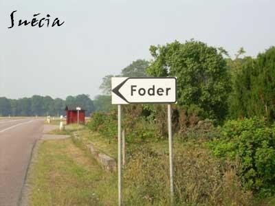 [foder.bmp]