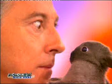 Jean-Charles et le lapin