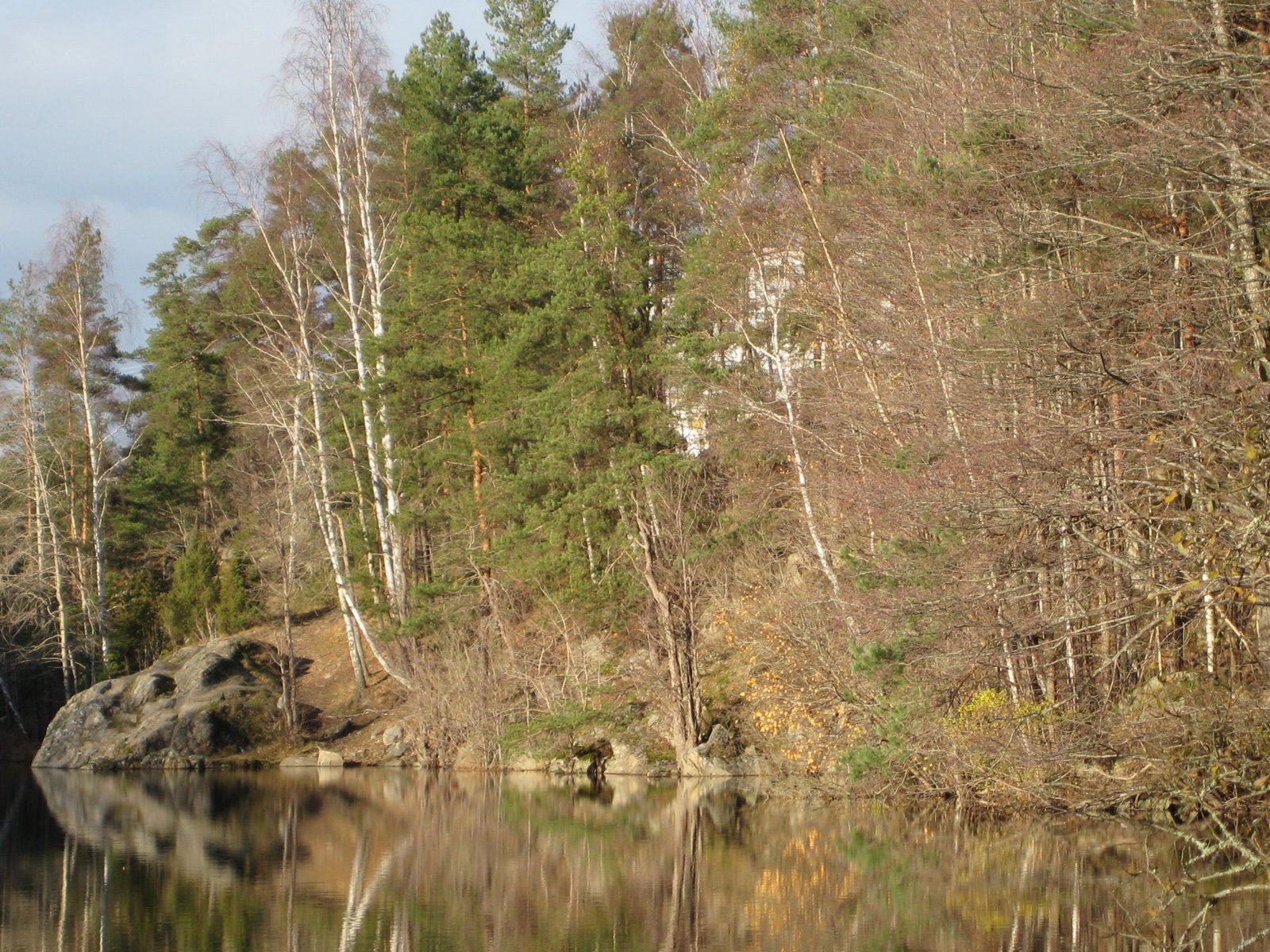 [IMG_2798.JPG]
