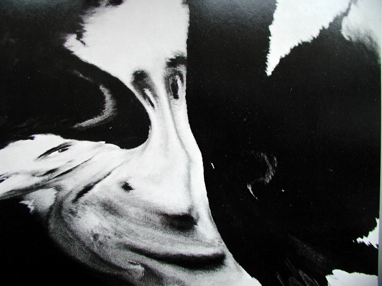 [Public+Image+LTD+3.JPG]