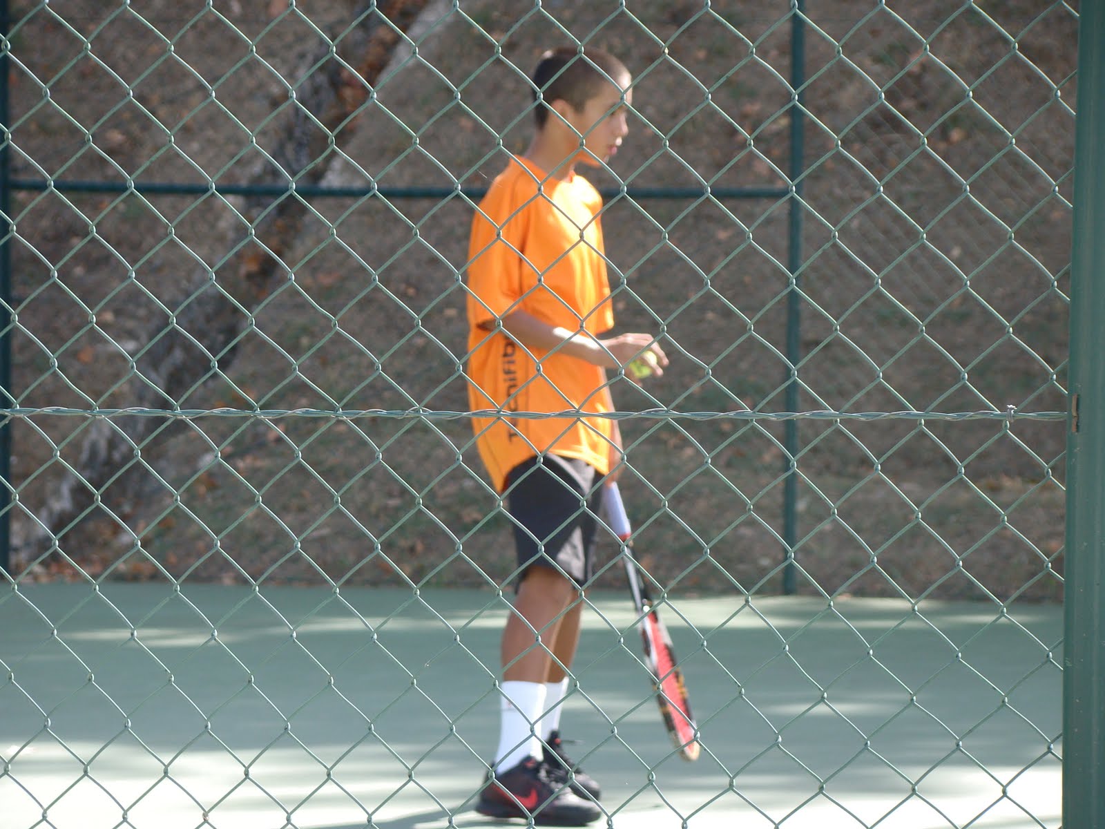 [DSC01662.JPG]
