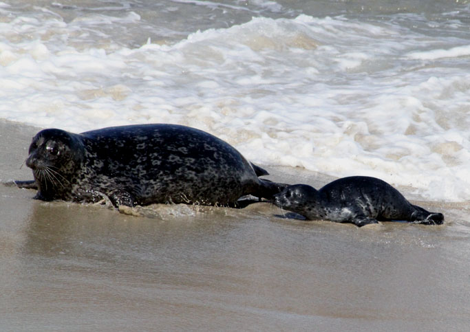 [Swimming+Lesson.JPG]