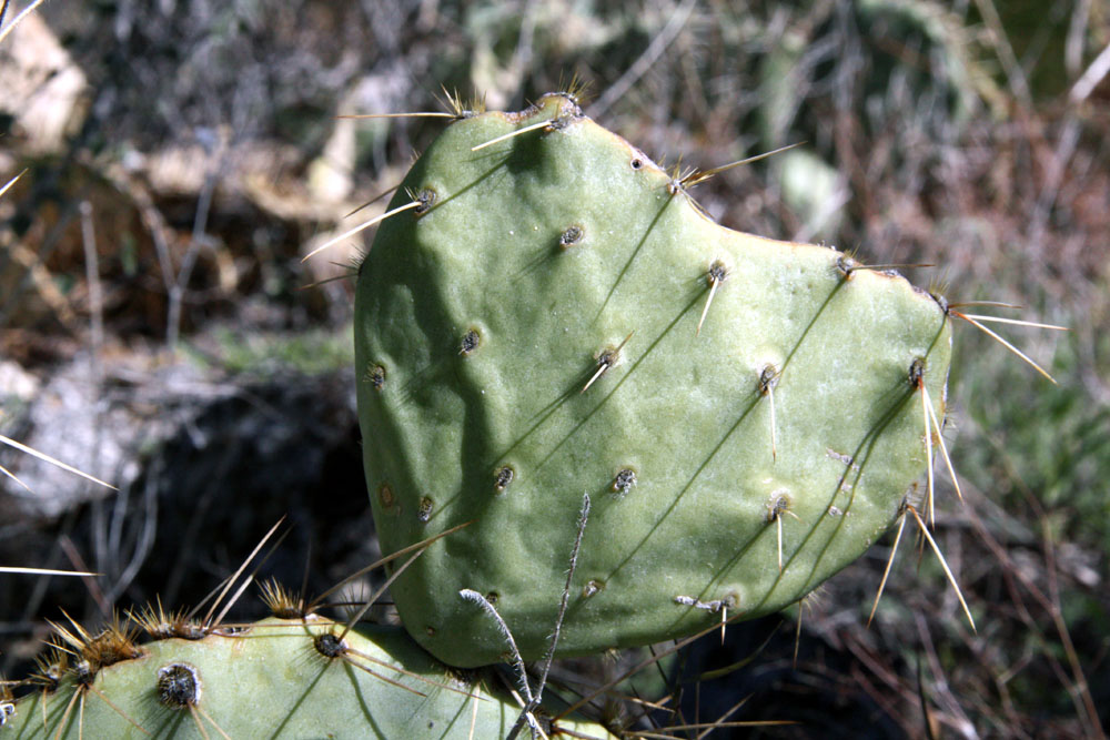 [IMG_4525.JPG]