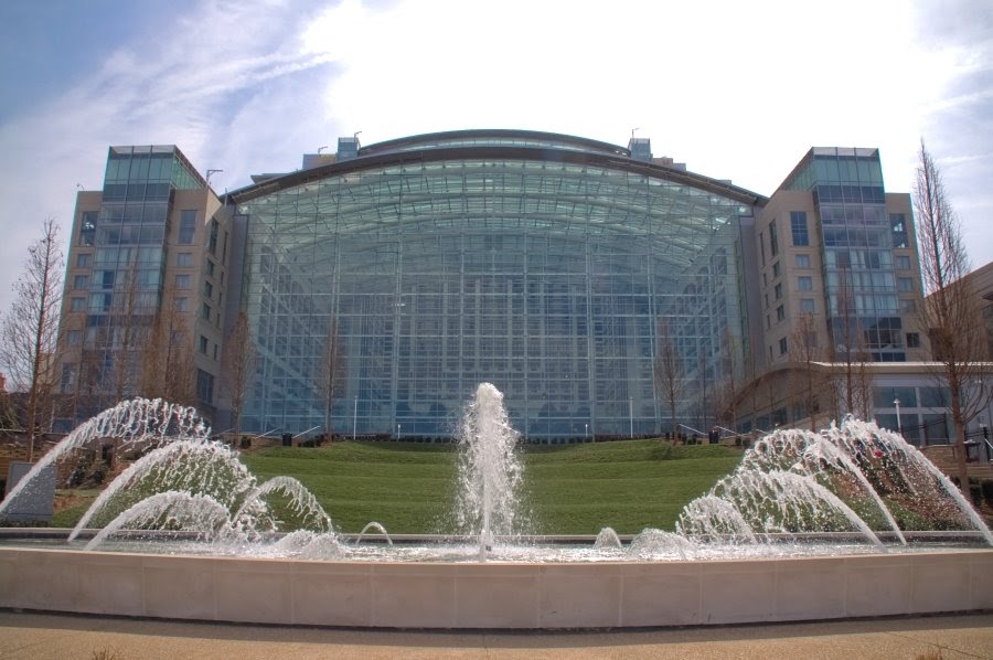 Things to Ponder More about the Gaylord National