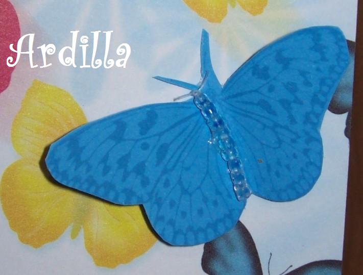 [Mariposas+04.JPG]