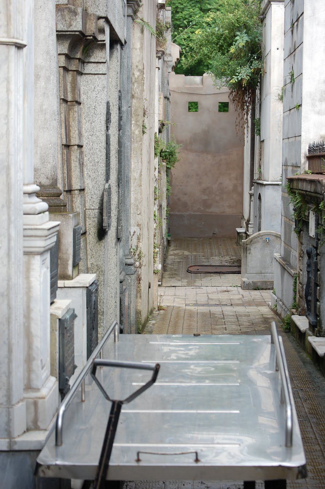 [DSC_3230.JPG]