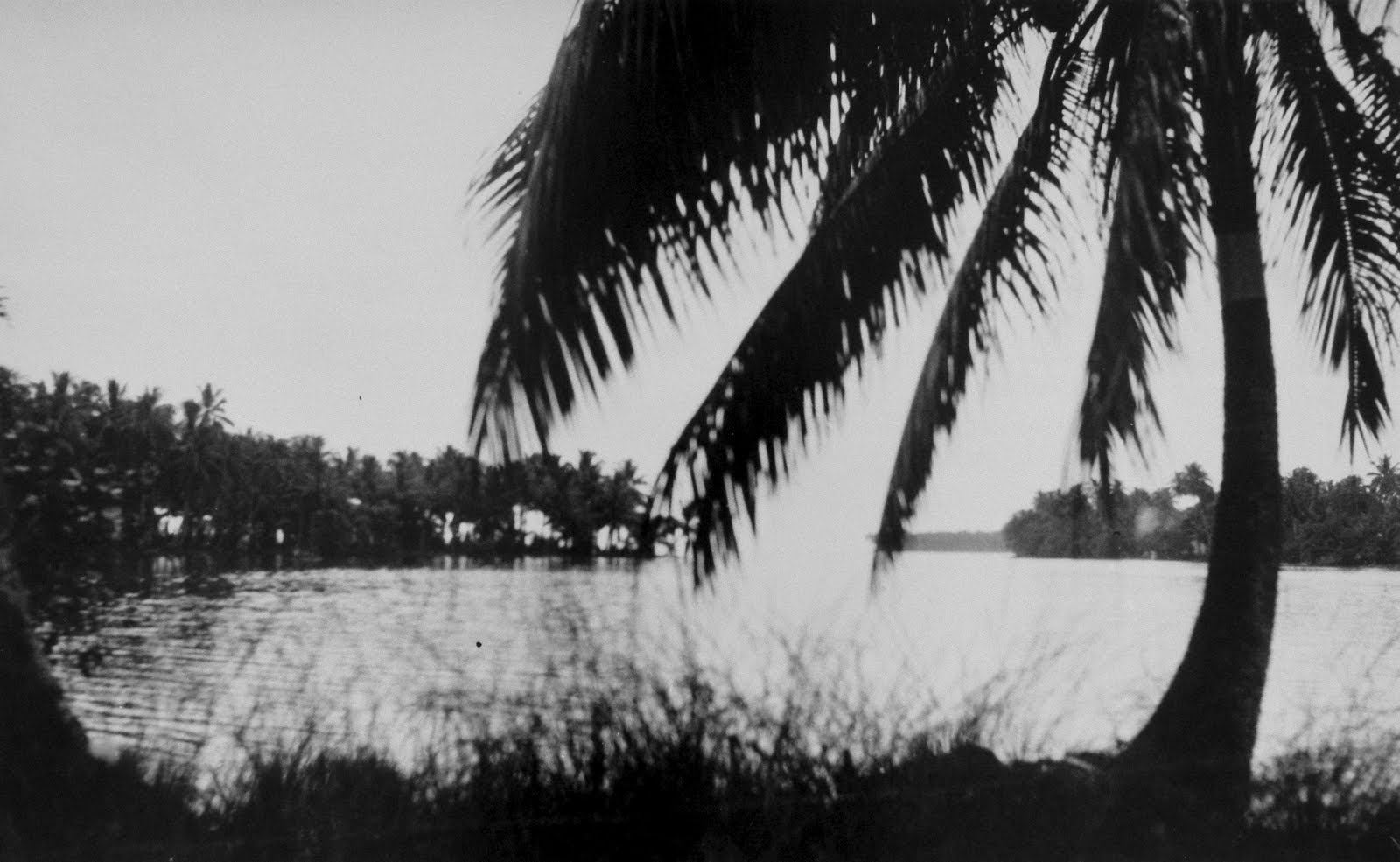 prostituées marseille michelet