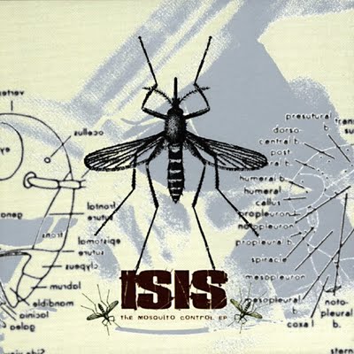 Isis_Mosquito-Control.jpg