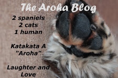 Aroha Springers
