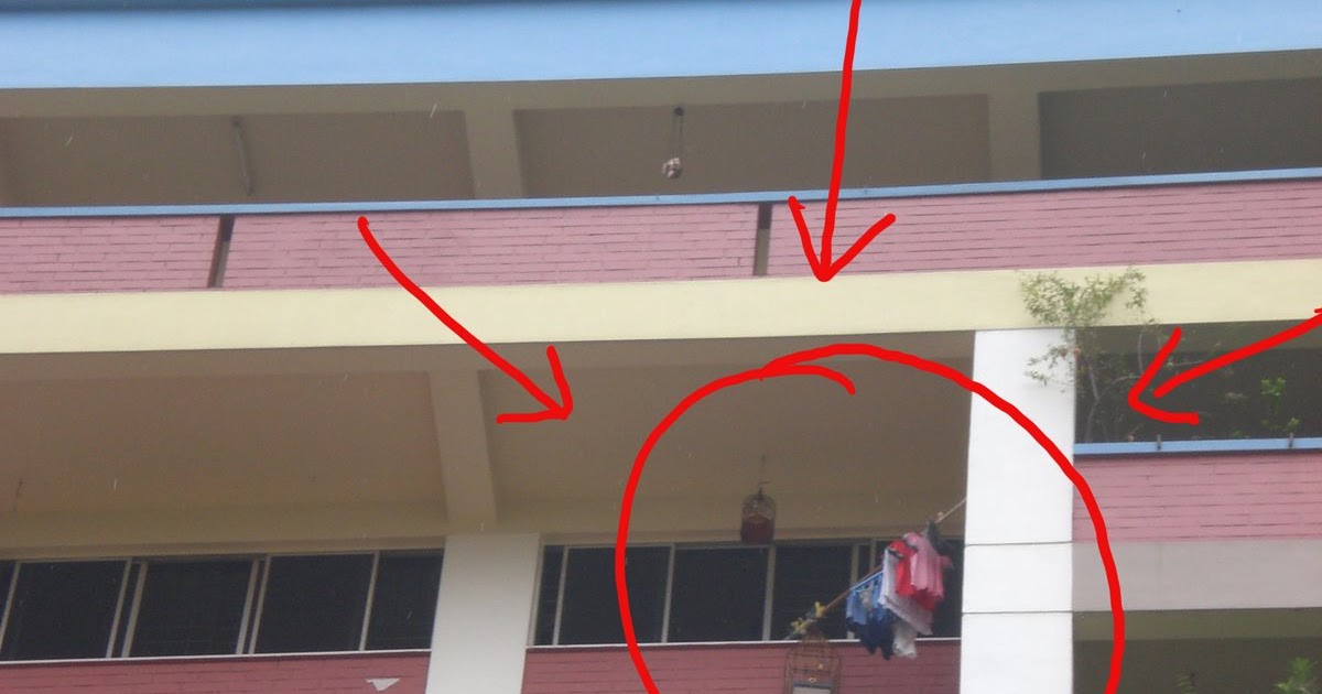 Killer Litter Kills! 03, Picture of Killer Litter