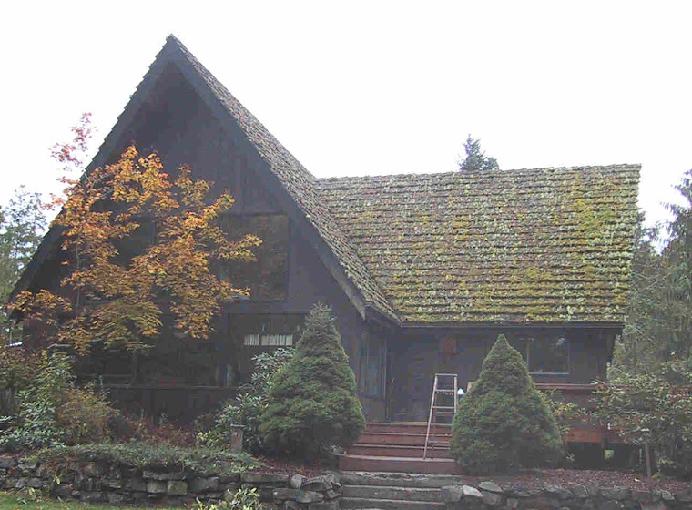Moss on Roof