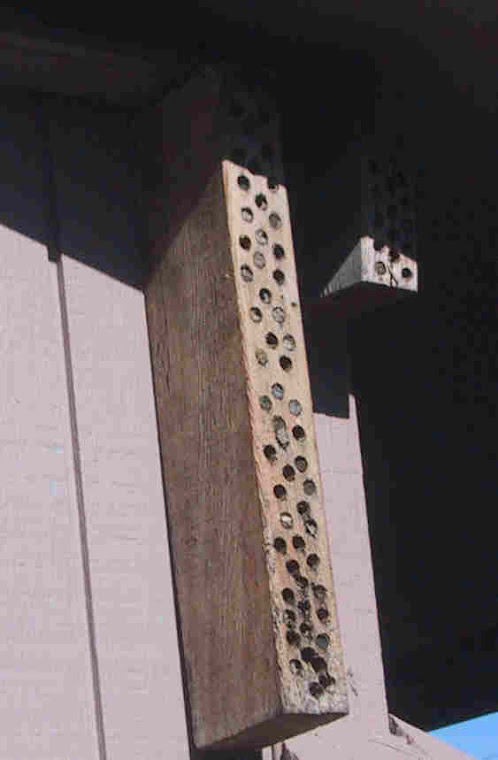 Orchard Mason Bee Nest Block