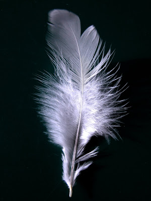 Apologies in advance as blogging will be feather light over the next week or 