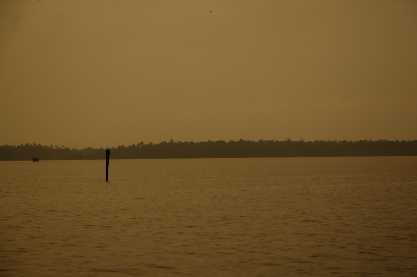 [DSC_8266.JPG]