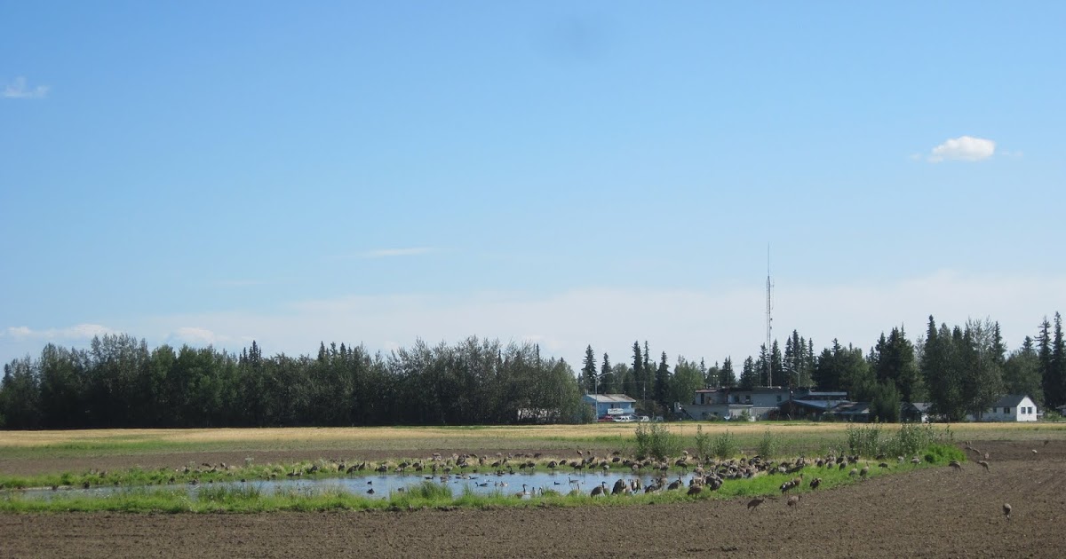 The Schramm Journey Creamer's Field Migratory Waterfowl Refuge