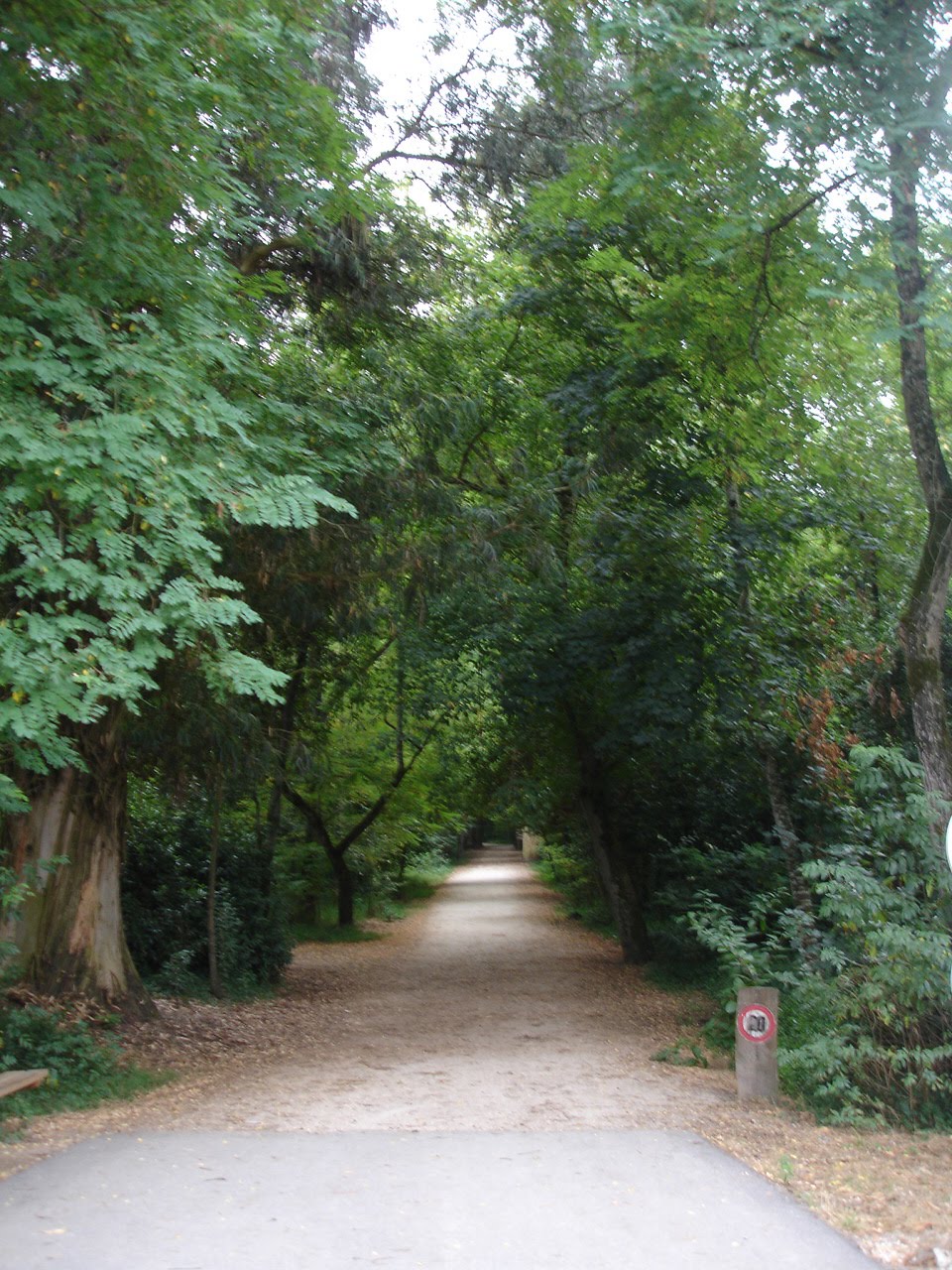 [DSC00006.JPG]