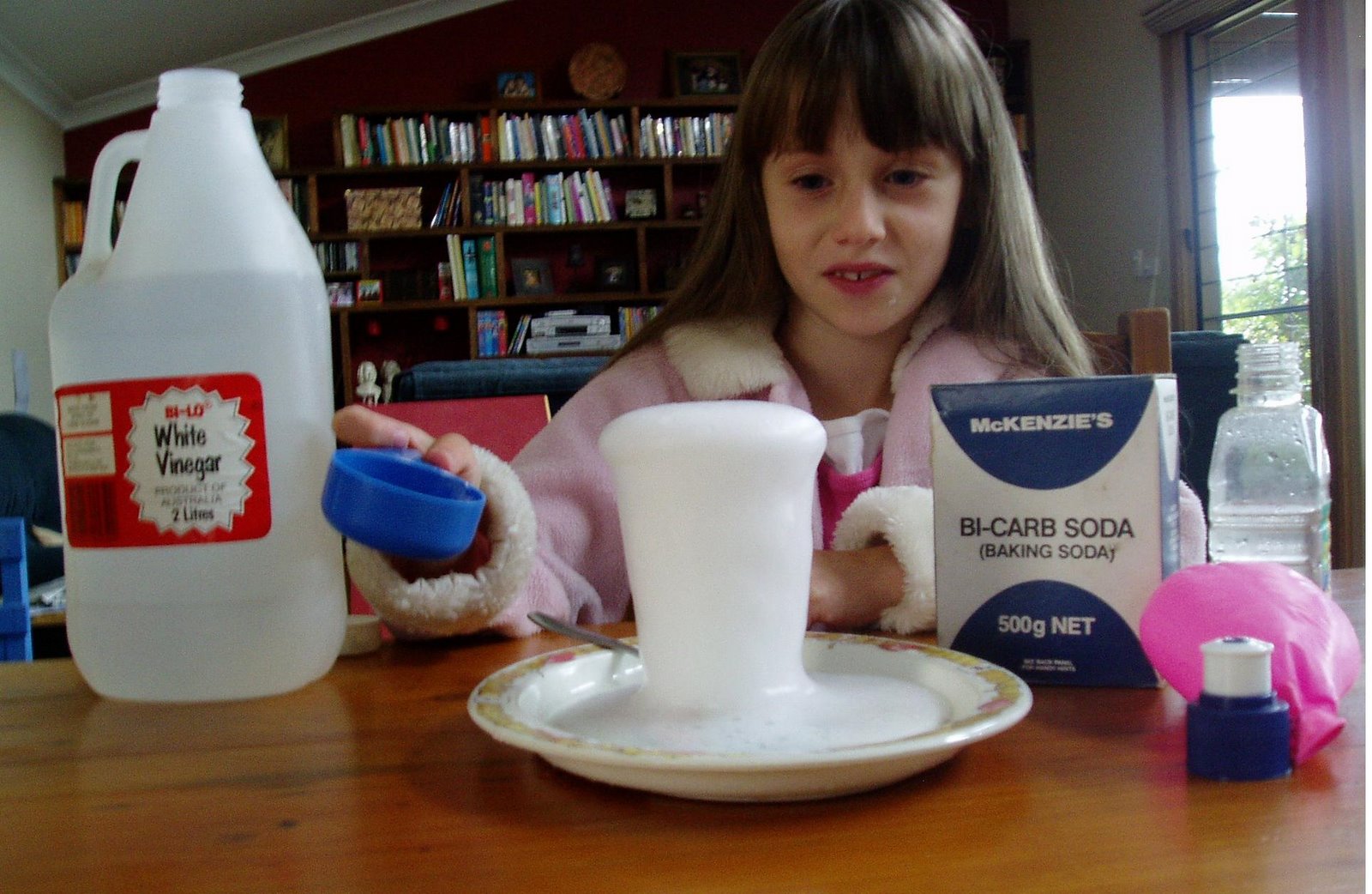 [VinegarExperiment.JPG]