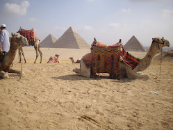 Camels and pyramids co-existing since centuries.
