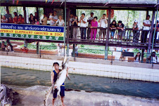 Handler lifts crocodile at "Samphran crocodile farm, elephant park and zoo.