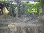 Ruins of "Inherited" paternal ancestral home in Barkur village(70 Kms from Mangalore City)