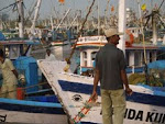 Fishing trawlers at Malpe Port(5 Kms from Udipi)