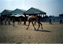 The "Tourist and cultural entertainment centre" at Pushker Fair(2003).
