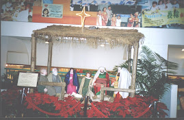 Y.M.C.A Centre in Hongkong during Christmas festive season.(Monday 12-12-2005)