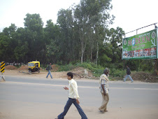 The last patch of forested land  of Banaswadi.(Saturday 26-9-2009)