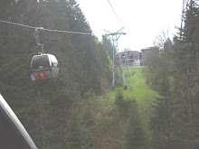 "Cable cars" of Mt Titlis.
