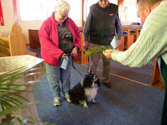 Blessing of the Animals