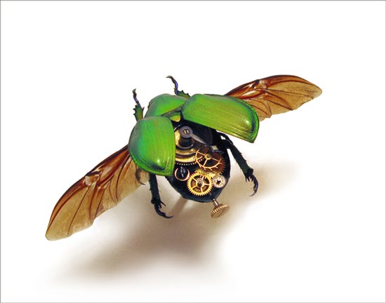 [Steampunk-insects2.jpg]