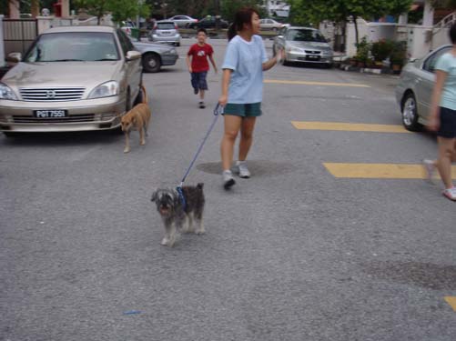 [dsc01864.jpg]