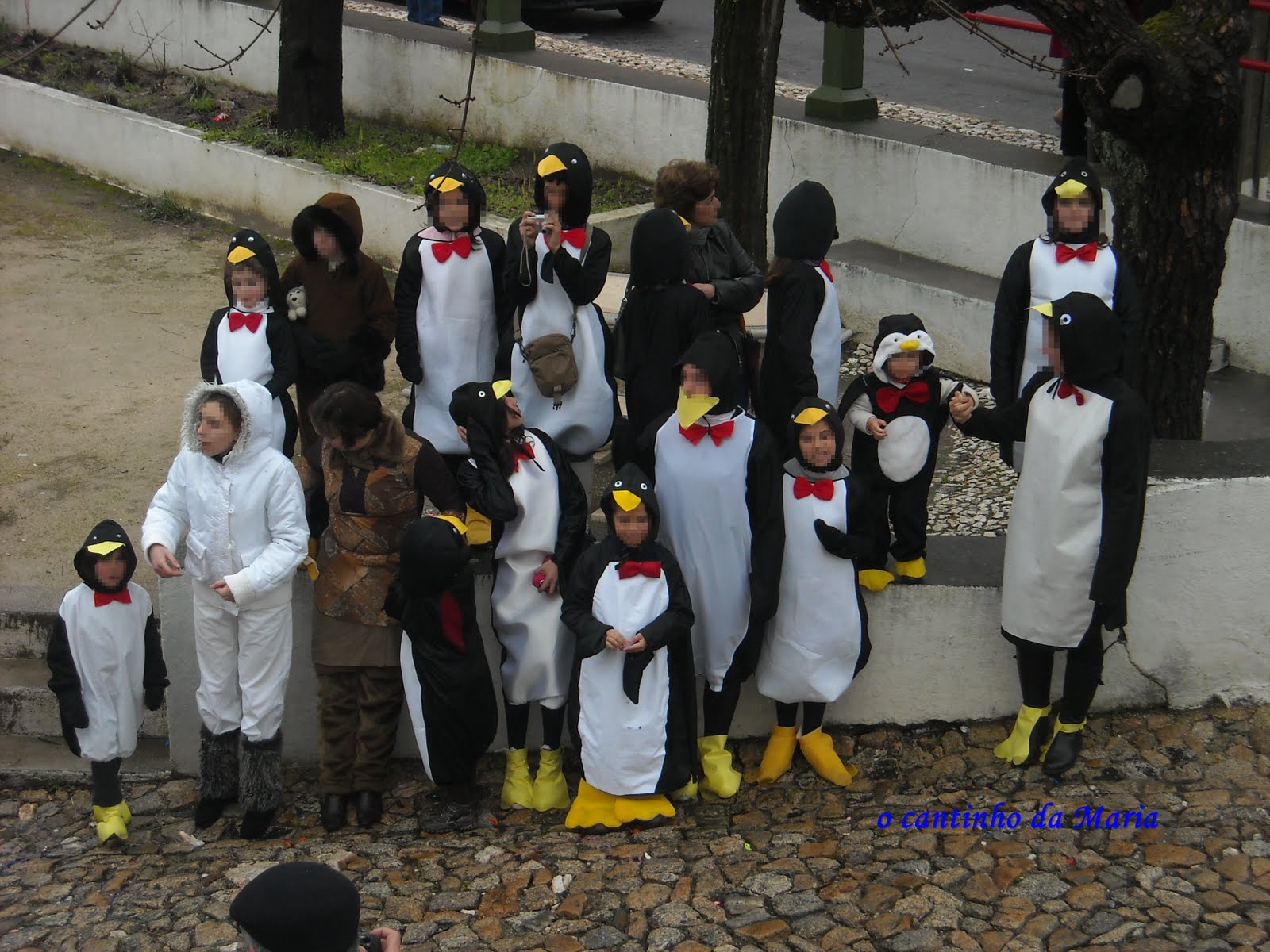 [DSCN0534.JPG]