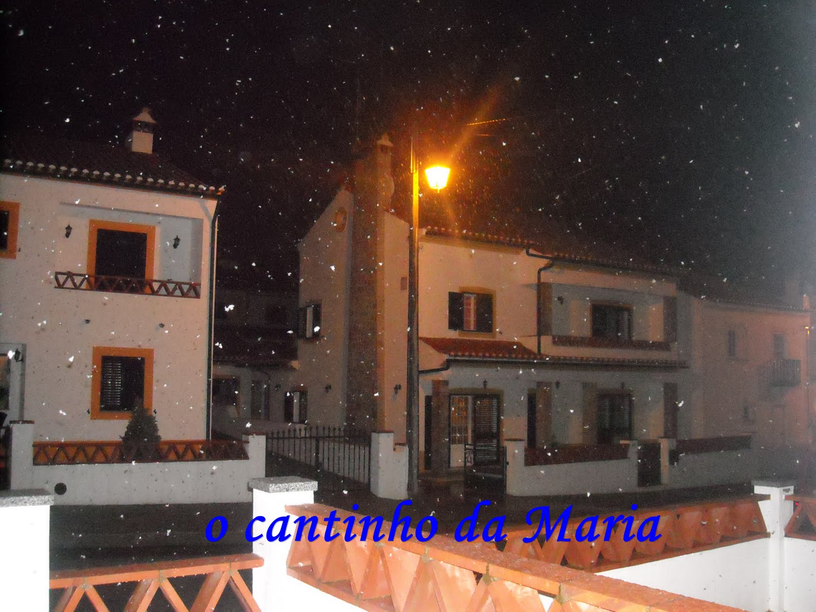 [DSCN0691.JPG]