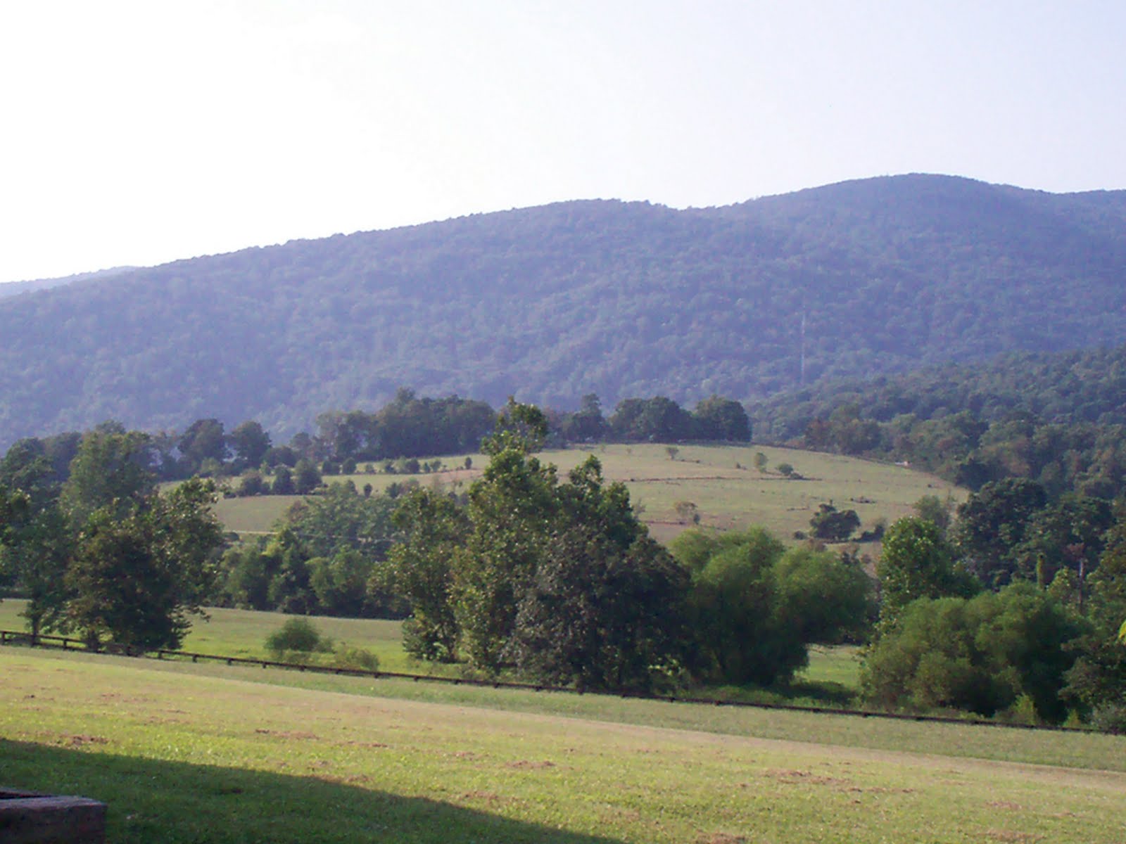 [100_0694.JPG]