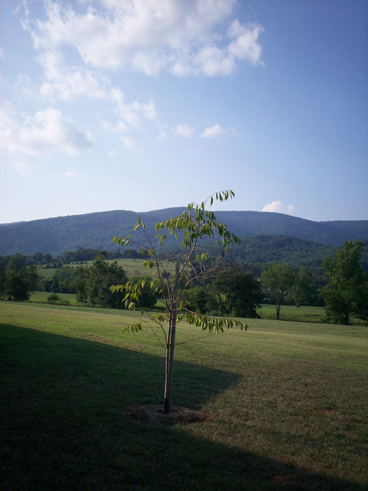[100_0693.JPG]