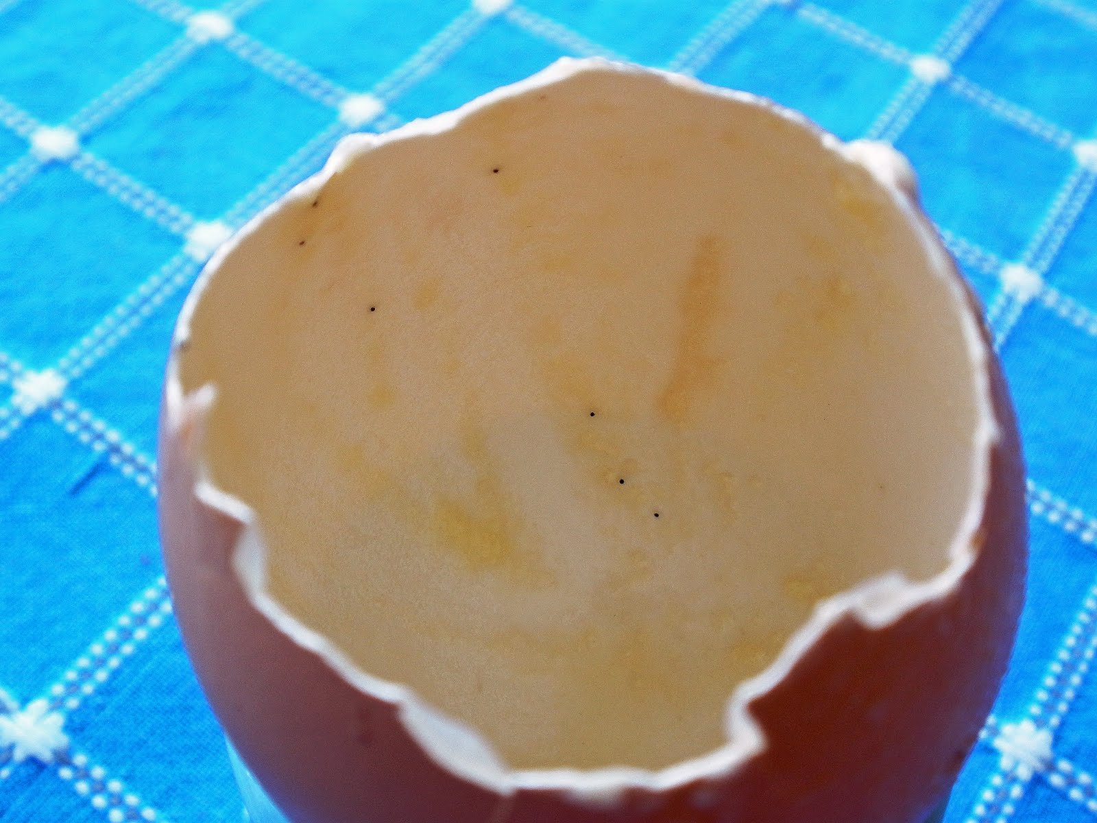 [PB061405.JPG]