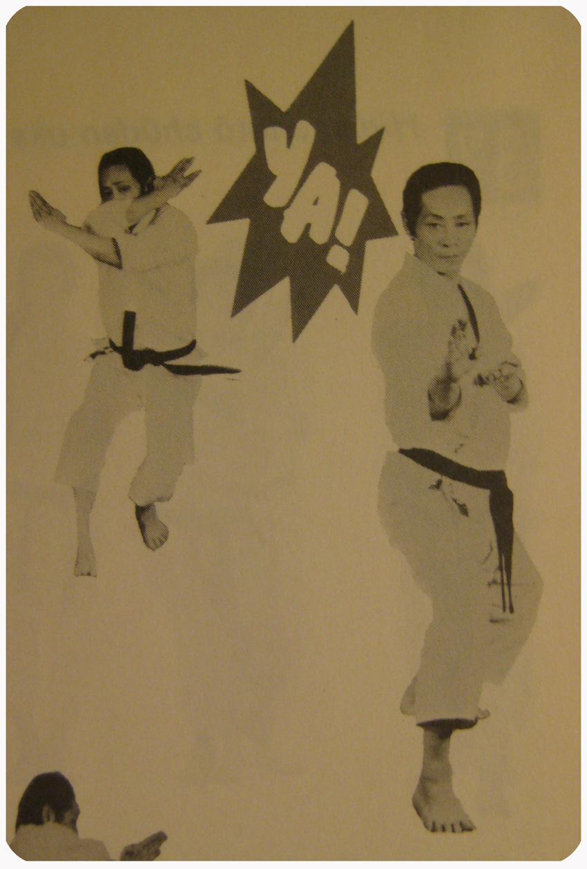 dropstitch karate... chop!